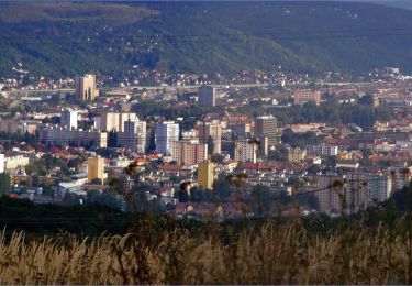 Excursión A pie okres Košice I - Vrabčie skaly - Photo