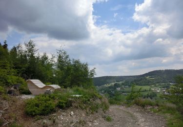 Trail On foot Warmensteinach - Warmensteinach Rundwanderweg Nr. 1 - Photo