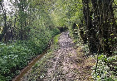 Trail Walking Aix-en-Issart - Sentier du paradis - Photo