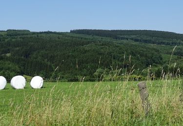 Randonnée A pied Stavelot - 26. Le Mont des Brumes - Photo