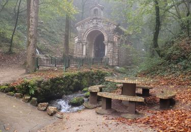 Excursión Senderismo Dourgne - Dourgne la Capelette retour officiel fait 2024 - Photo