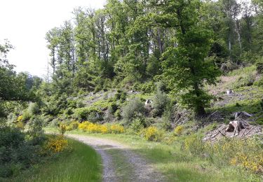 Percorso Mountainbike Saint-Léger -  Circuit  du muguet  .St Leger Lahage - Photo