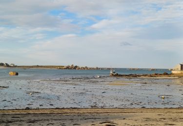 Randonnée Marche Plounéour-Brignogan-Plages - Brignogan calvaire - Photo