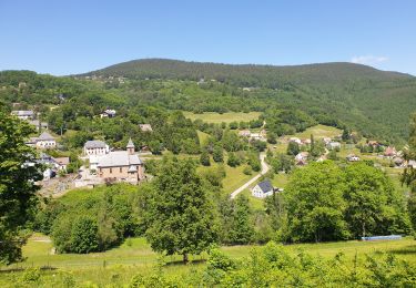 Tour Wandern Zell - Autour du château du Petit Hohnack - Photo