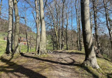 Percorso A piedi Pfungen - Pfungen - Heerenbänkli Irchelturm - Photo