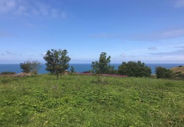 Tocht Wegfiets Étretat - Etretat - Les veulettes - Photo