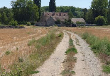 Randonnée Marche Égly - Rumba à Egly  - Photo