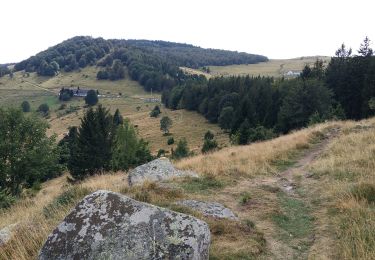 Randonnée Marche Wasserbourg - Au pied du Petit Ballon par le sentier Hertzog - Photo