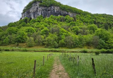 Trail Walking Baume-les-Messieurs - A la découverte de Baume-les-messieurs 🥾 - Photo