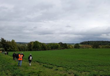 Trail Walking Marigny-en-Orxois - Marigny  en Orxois du 08/10/2020 - Photo