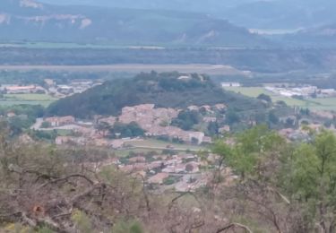 Trail Walking Peipin - PEIPIN . PAR LES CHEMINS ABANDONNÉS DE PEIPIN  O L S  - Photo