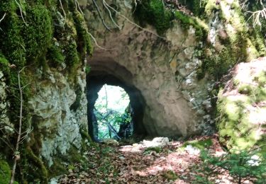 Trail Walking Saint-Thibaud-de-Couz - la dent du Corbeley  - Photo