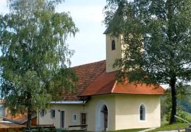 Randonnée A pied Ehrenhausen an der Weinstraße - Berghausen 1 - Photo