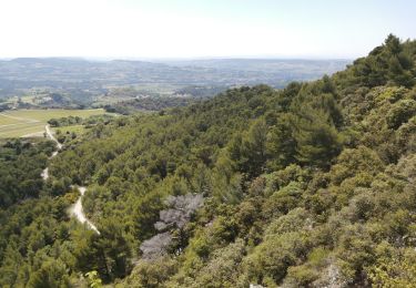 Randonnée Marche Piégon - petit sentier des géants par les cretes - Photo