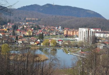 Trail On foot Brasov - Timișu de Jos - Cabana Postăvaru/Julius Romer - Brașov - Photo