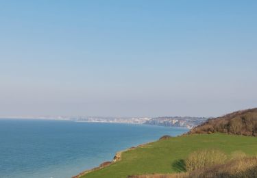 Tocht Stappen Varengeville-sur-Mer - varengeville - Photo