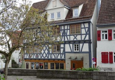 Tocht Te voet Leonberg - Warmbronn - Sindelfingen Martinskirche - Photo