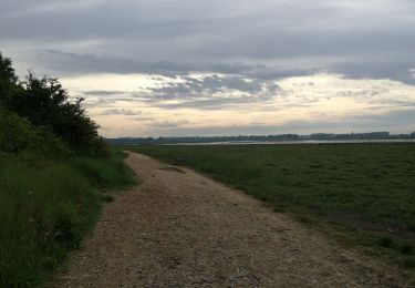 Excursión Bici de montaña Caen - sortie merville franceville canal - Photo