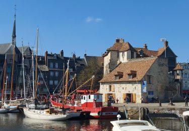 Randonnée Marche Deauville - Deauville Honfleur - Photo