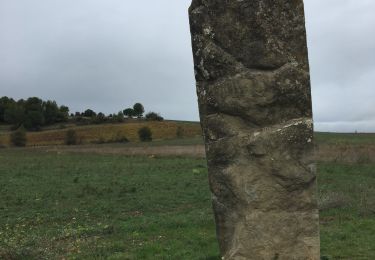 Percorso Marcia Malves-en-Minervois - Malves-en-Minervois - 9 km - Photo