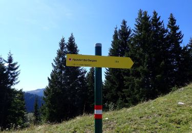 Tour Zu Fuß Großarl - Wanderweg 71 - Photo