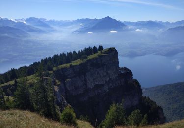 Trail Walking Beatenberg - Niederhorn - Photo