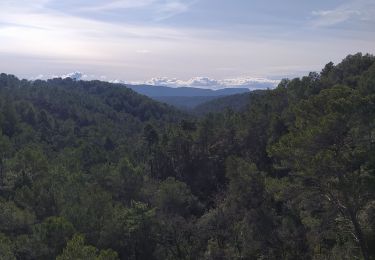 Tour Wandern Seillans - viaduc du rayol - Photo