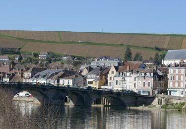 Percorso Bici da strada Joigny - Joigny < > Bassou 34 km - Photo