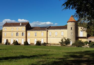 Trail Walking La Crau - fenouillet Daniel Louis - Photo