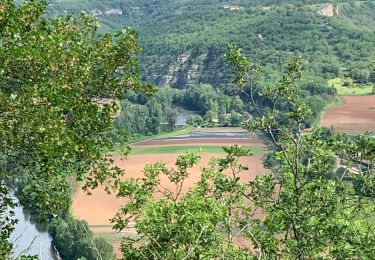 Tocht Mountainbike Montsalès - Monsales vtt - Photo