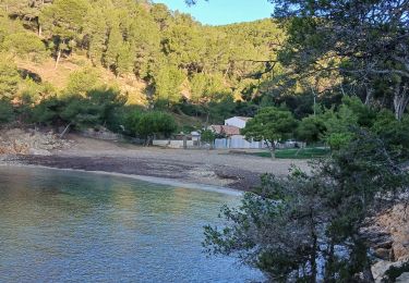 Trail Walking Saint-Cyr-sur-Mer - La Gâche- St Cyr sur Mer- 29-11-2024 - Photo