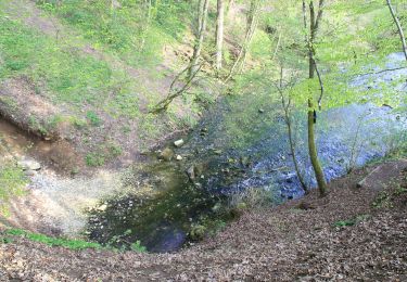 Tour Zu Fuß Königsbronn - Karstquellenweg Oberkochen - Königsbronn - Photo