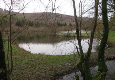 Tocht Stappen Les Mazures - Vielles Forges 13-02-20 jeudi - Photo