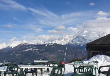 Trail Snowshoes Demi-Quartier - Combafort Combloux vers Mt d'Arbois - Photo