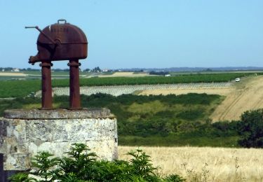 Trail On foot Chenac-Saint-Seurin-d'Uzet - St Seurin d'Uzet 17   -8km6 - Photo