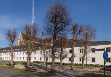 Randonnée A pied Odenthal - Hexenroute - Photo