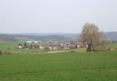 Tour Zu Fuß Gladenbach - [G11] - Rundweg Gladenbach - Ammenhausen - Friebertshausen - Wolfskapelle - Altes Forsthaus Rüchenbach - Ammenhausen - Gladenbach - Photo