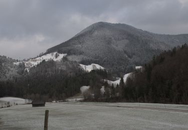 Trail On foot Gemeinde Kleinzell - Laufend geniessen (Kurhotel Salzerbad) - Photo