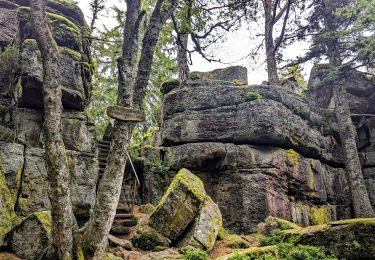 Tour Wandern Rappoltsweiler - 2023-08-26 Marche Ribeauville Taennchel - Photo