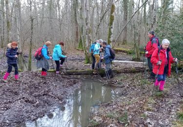 Tour Wandern Amance - La Loge GRBA 13,2KM - Photo