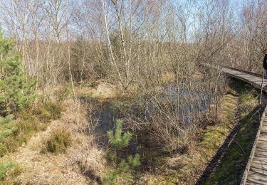 Trail On foot Vettweiß - großer Heideweg - Photo