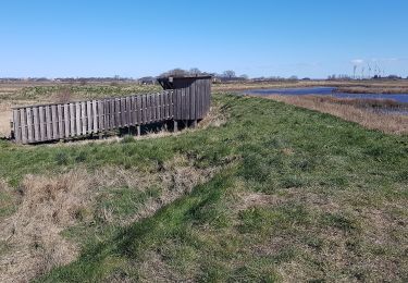 Excursión A pie  - Tønderstier: Bremsbøl-Sæd-Stien - Photo