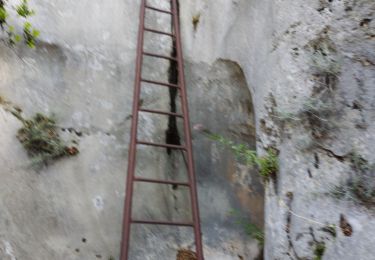 Trail Walking Plan-de-Cuques - Vallon de la Mauvelle et des Ouides - Photo