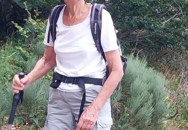Tocht Stappen Saint-Jacques-des-Blats - Puy Griou - Photo