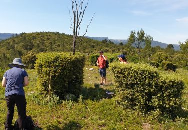 Trail Walking Saint-Zacharie - Saint Zac Yves Isa Valérie  - Photo