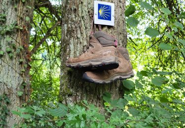 Trail Walking Villey-Saint-Étienne - Hazelle - Photo