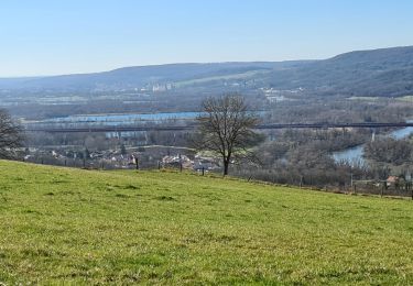 Randonnée Marche Champey-sur-Moselle - Champey La Frontière  - Photo