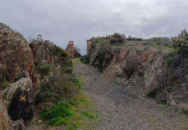Trail Walking Collioure - madeloc depuis col de la serra, via col de villauria, batterie 500, retour  - Photo