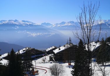 Percorso Marcia Ayent - Anzère  - Photo