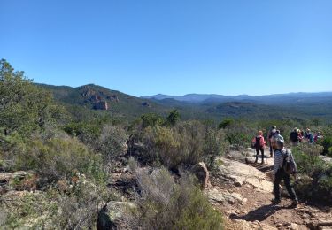 Excursión Senderismo Roquebrune-sur-Argens - Grottes de La Bouverie  - Photo